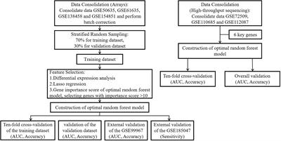 Establishment and analysis of a disease risk prediction model for the systemic lupus erythematosus with random forest